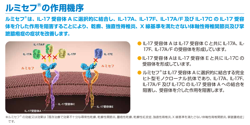 ルミセフ®の作用機序