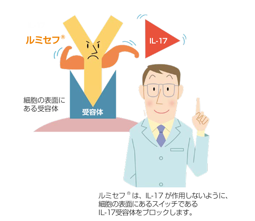 ルミセフ®の作用機序